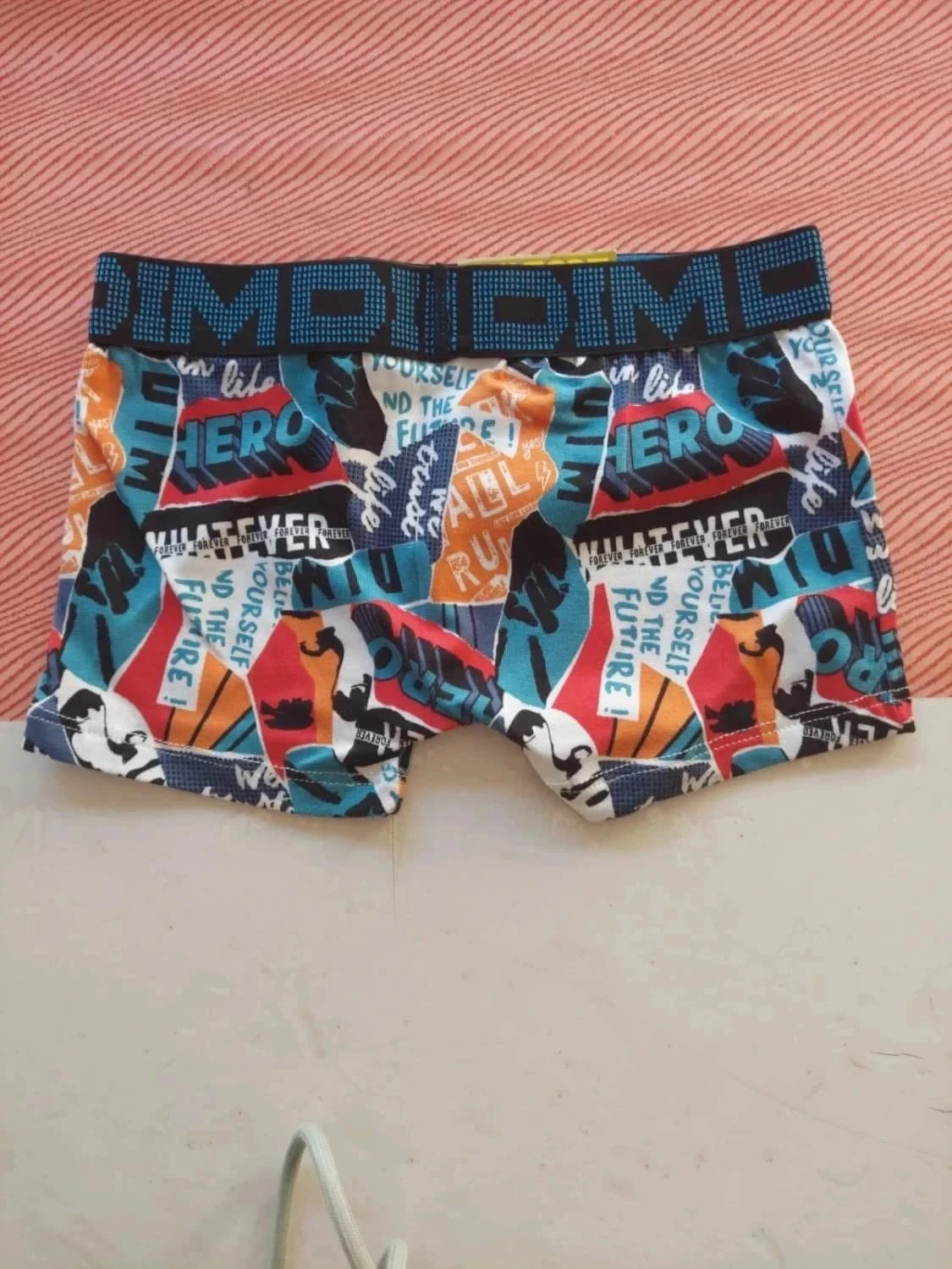 Boxer novo dim 8 anos – photo 8
